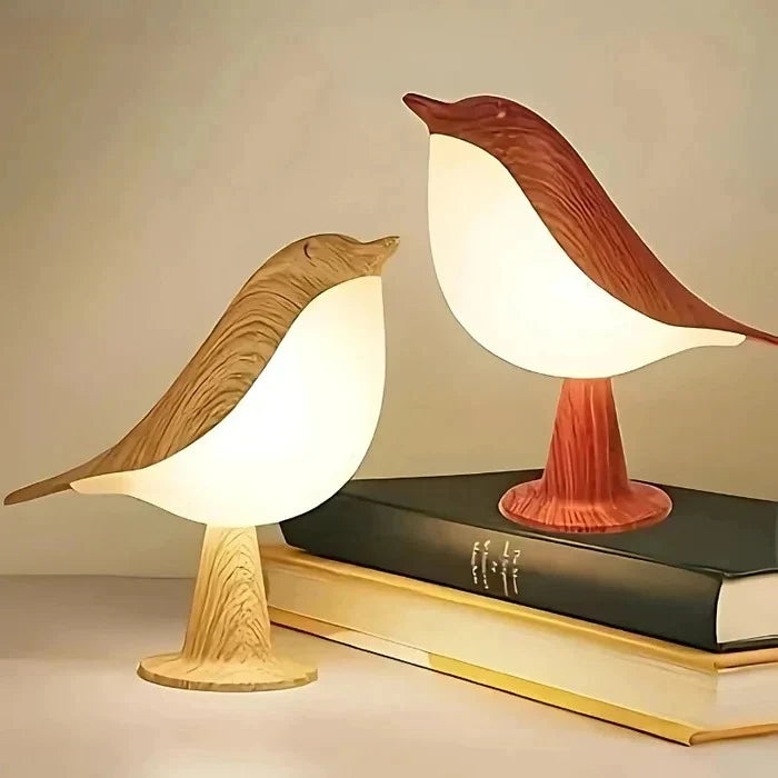 Lamp & Diffuser Rechargeable Adjustable Light Ultrasonic Mist