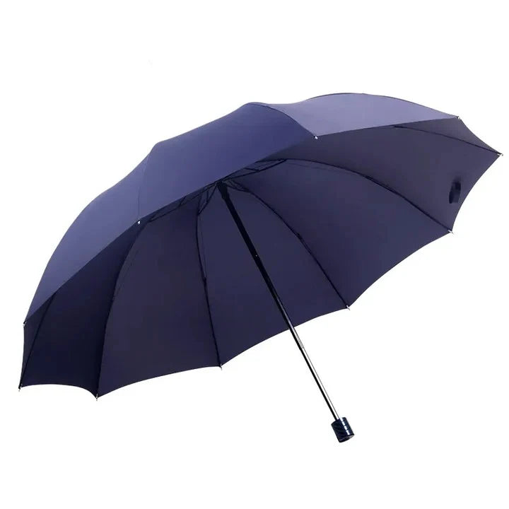 Umbrella Auto Open 51-Inch Canopy & Windproof Frame