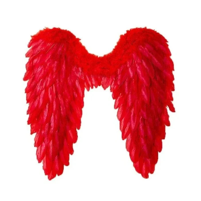 Angel Wings Foldable Frame Adjustable Straps