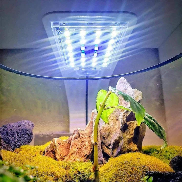 Aquarium LED Light Clip-On Ultra-Slim Full-Spectrum Waterproof