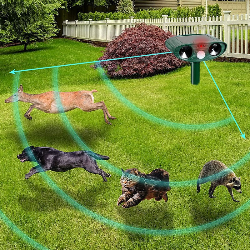 Armadillo Deterrent Motion-Activated Solar-Powered 30 Foot Range