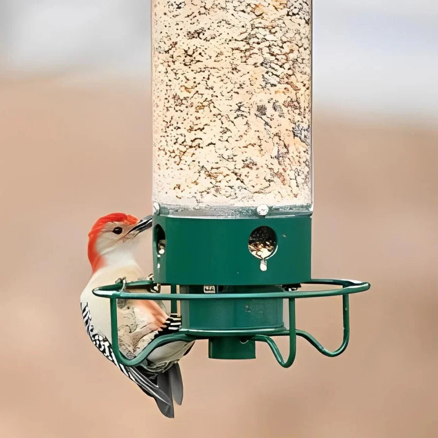 Bird Feeder Squirrel-Proof Spinning Perch 5 Lb Capacity
