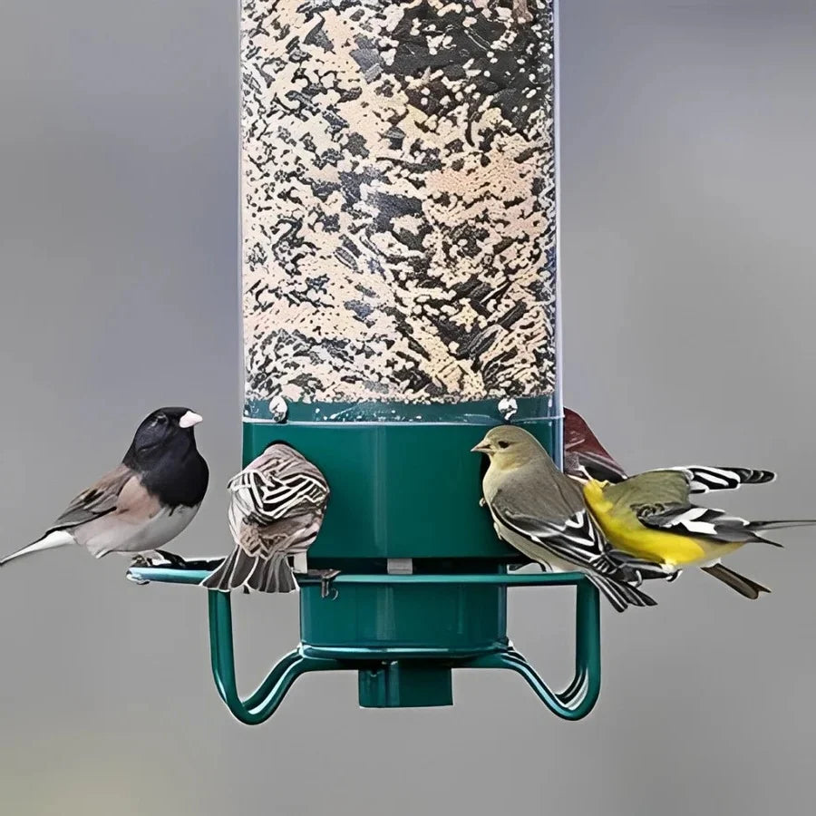 Bird Feeder Squirrel-Proof Spinning Perch 5 Lb Capacity
