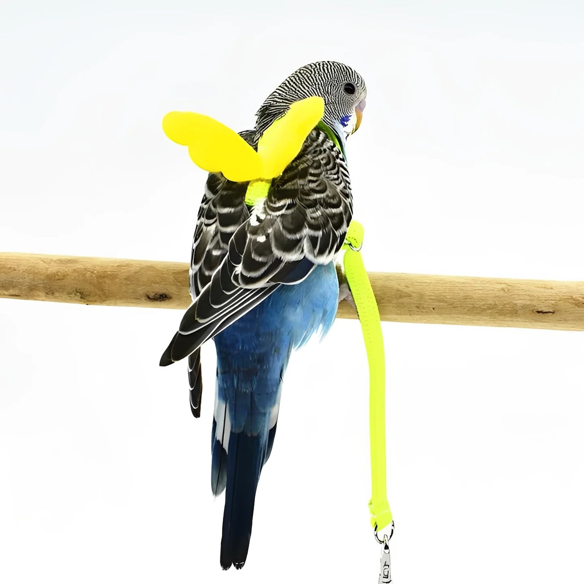 Bird Harness & Leash Adjustable Anti-Bite 78-Inch