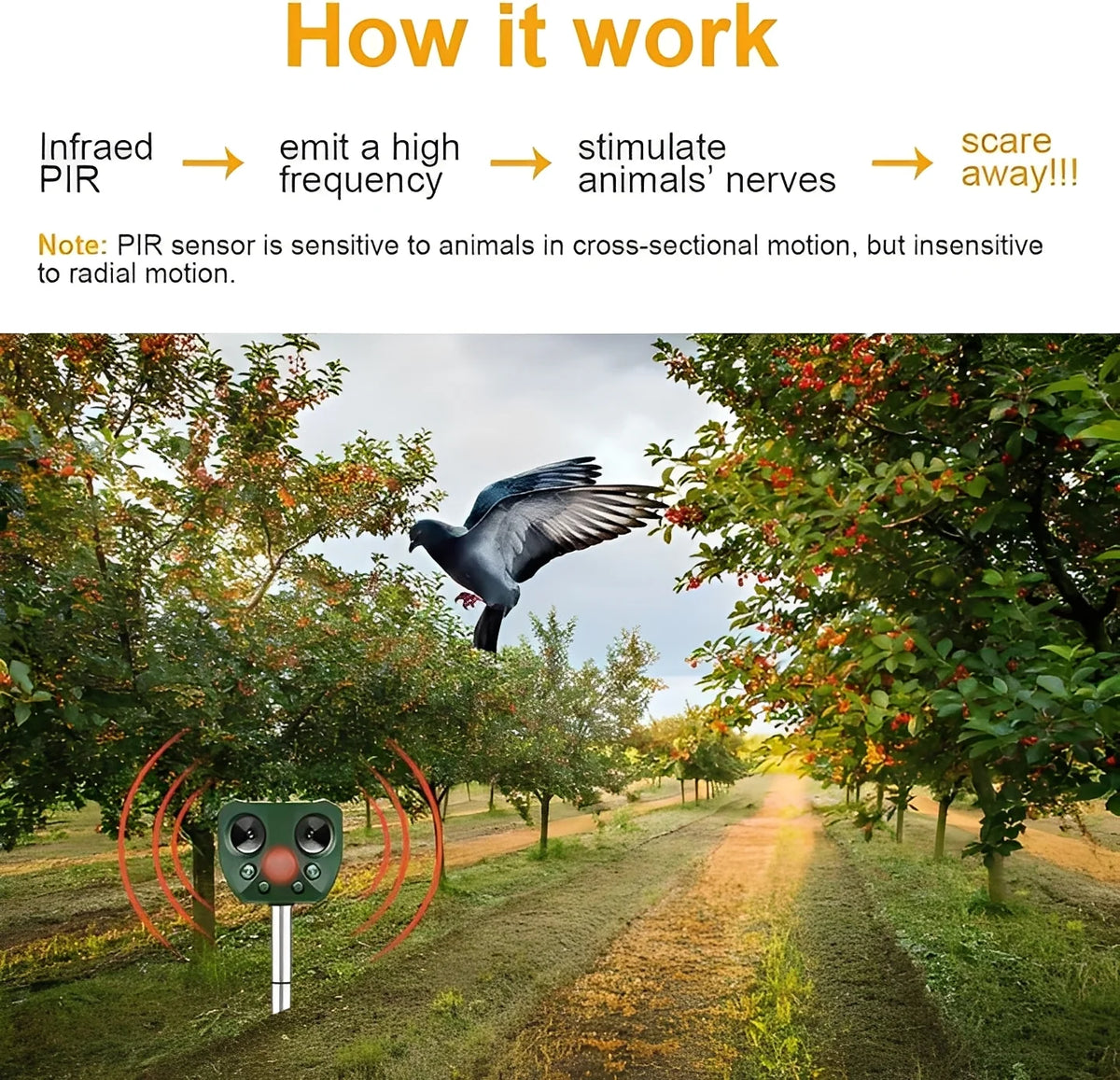 Bird & Pest Repeller Motion-Activated Ultrasonic Solar & USB