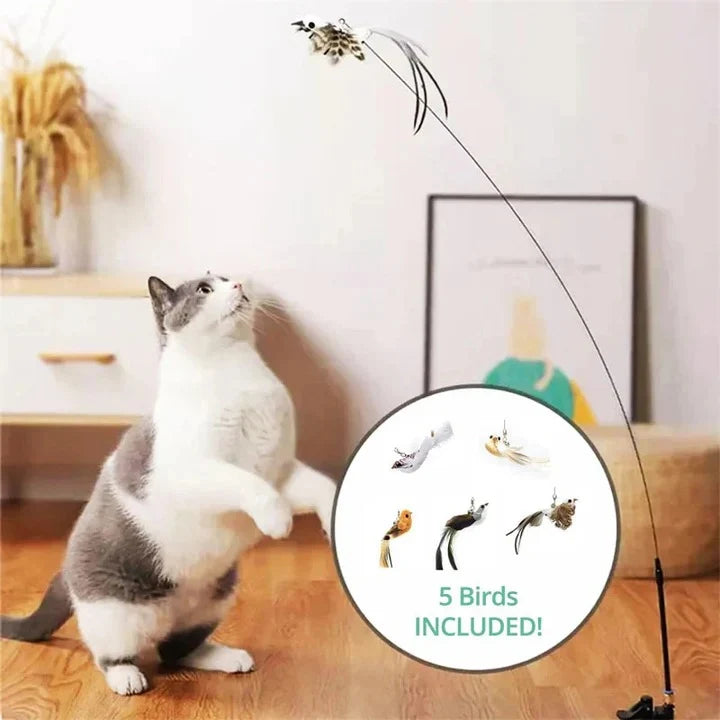 Cat Toy Set Fluttering Steel Wire Five Replaceable Birds