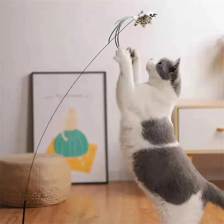 Cat Toy Set Fluttering Steel Wire Five Replaceable Birds