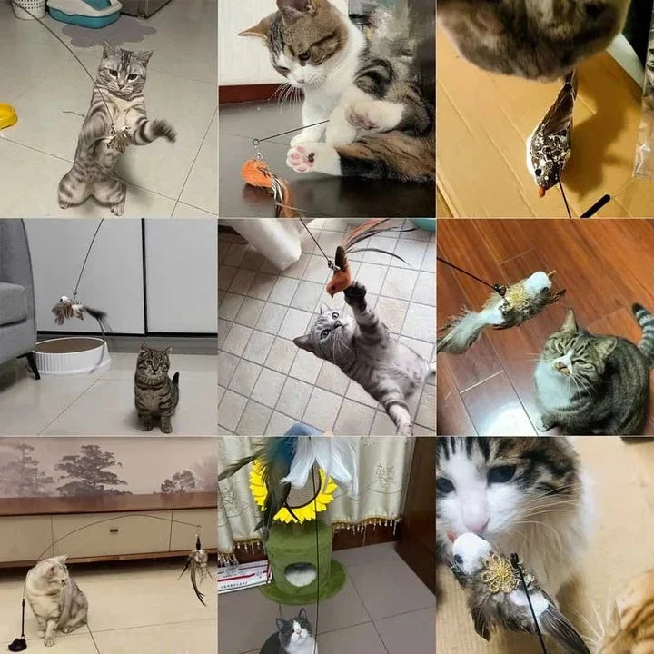 Cat Toy Set Fluttering Steel Wire Five Replaceable Birds