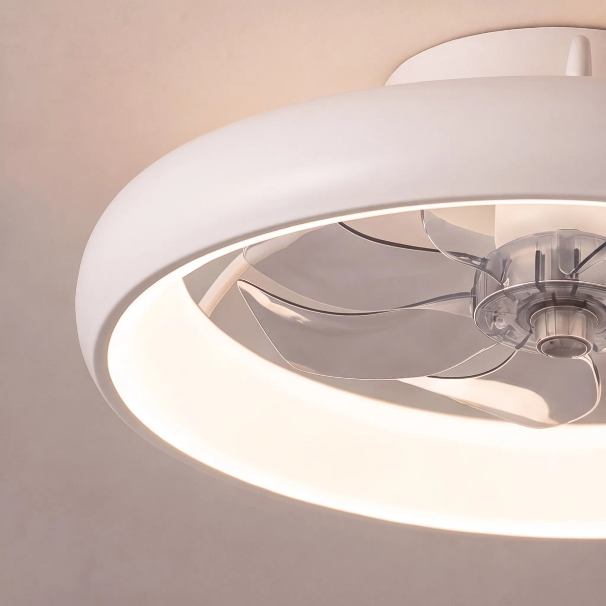 Ceiling Fan Flush Mount Quiet DC Motor Dimmable LED