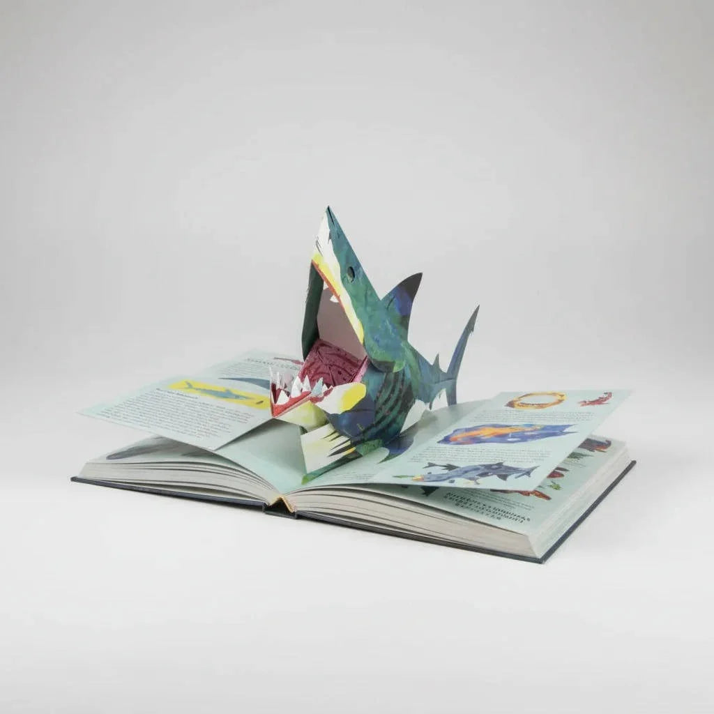 Children's Pop-Up Book 3D Dinosaur Scenes Hardcover