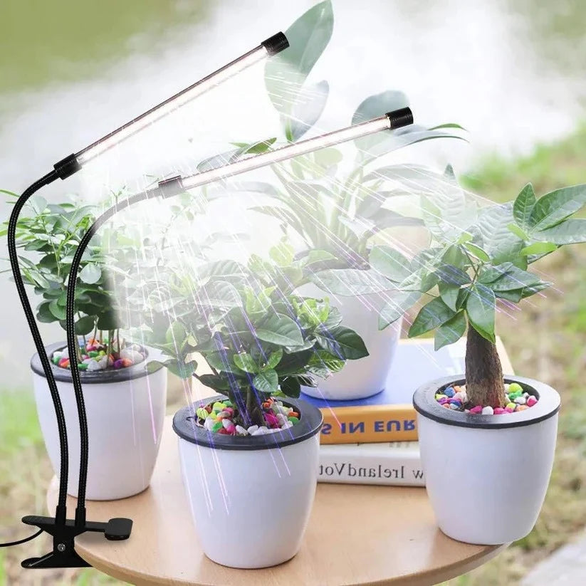 Clip-On Plant Grow Light Dual Gooseneck Timer & USB Power