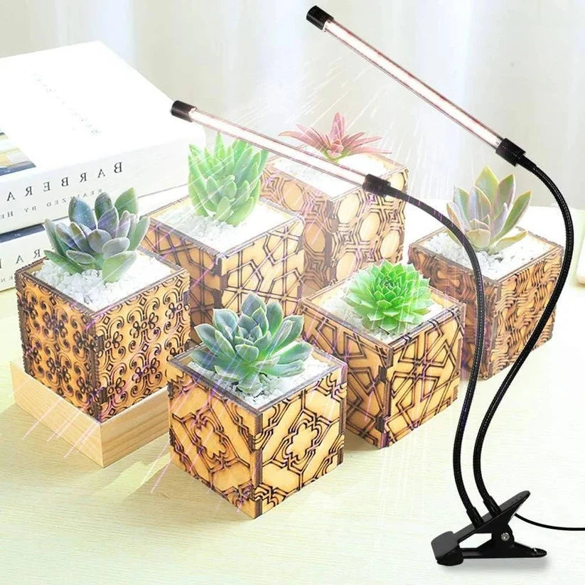 Clip-On Plant Grow Light Dual Gooseneck Timer & USB Power