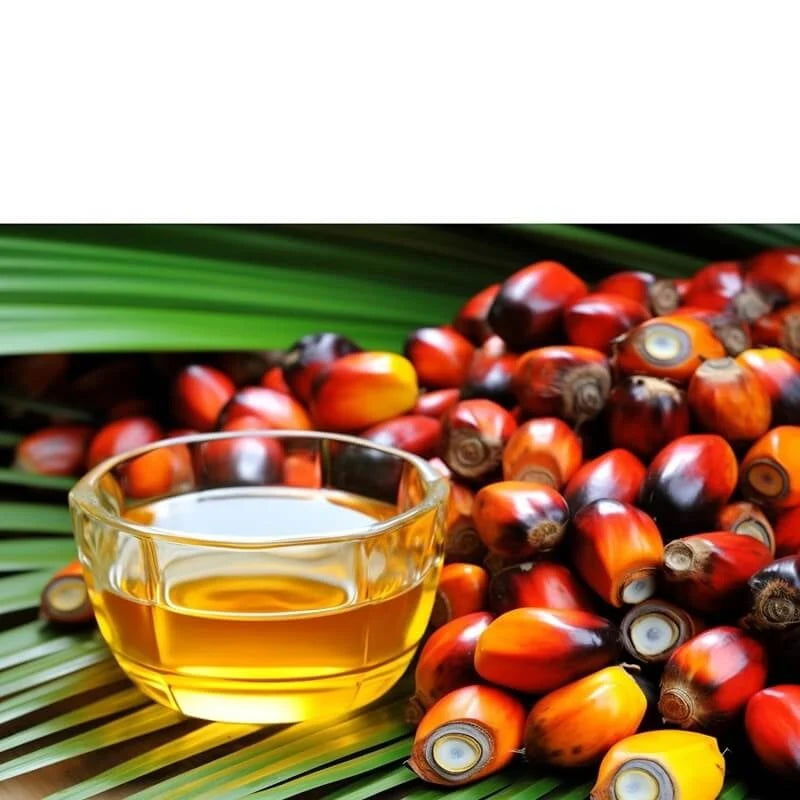 Conditioning Hair Oil Rosemary & Vitamin E