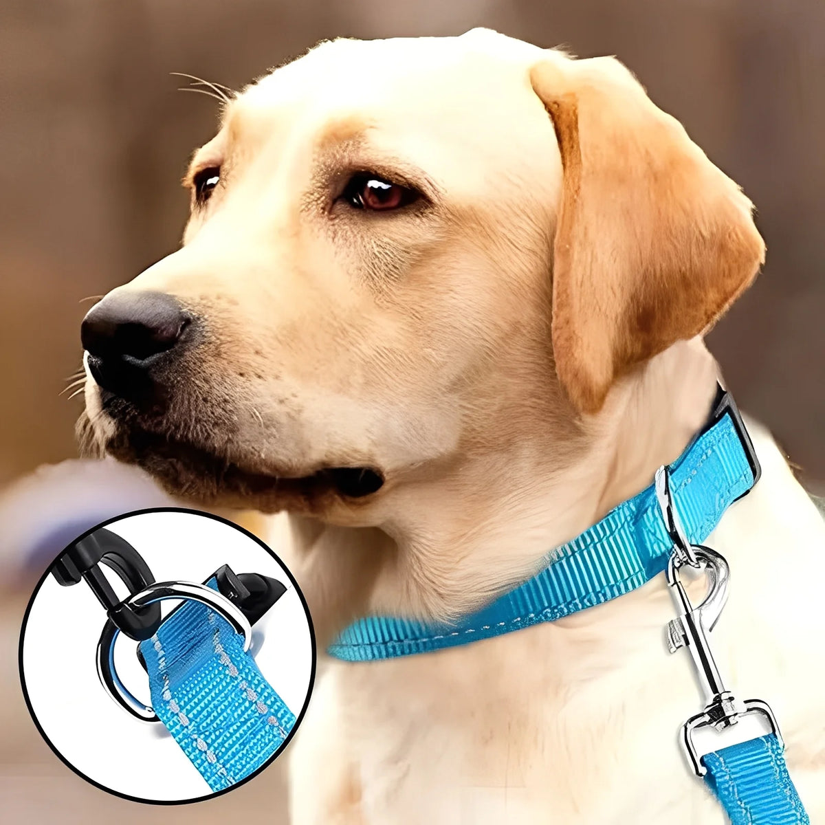 Dog Collar Adjustable Nylon Reflective Clip Buckle