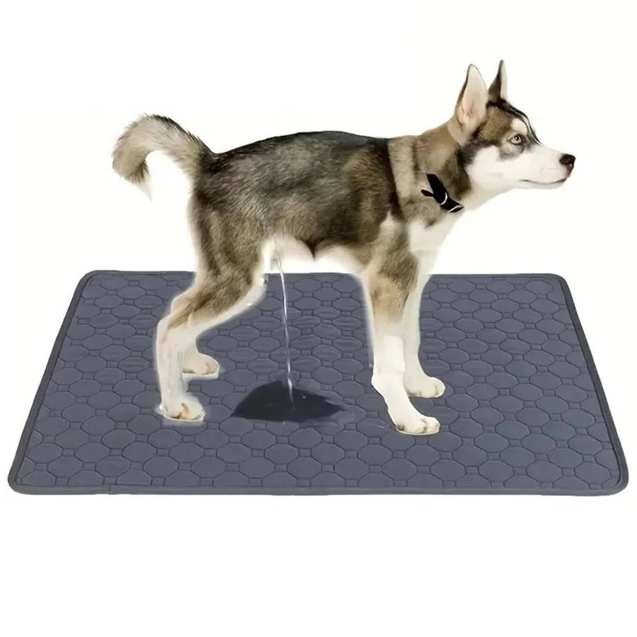 Dog Pee Pads Fast-Absorbing & Leak-Proof