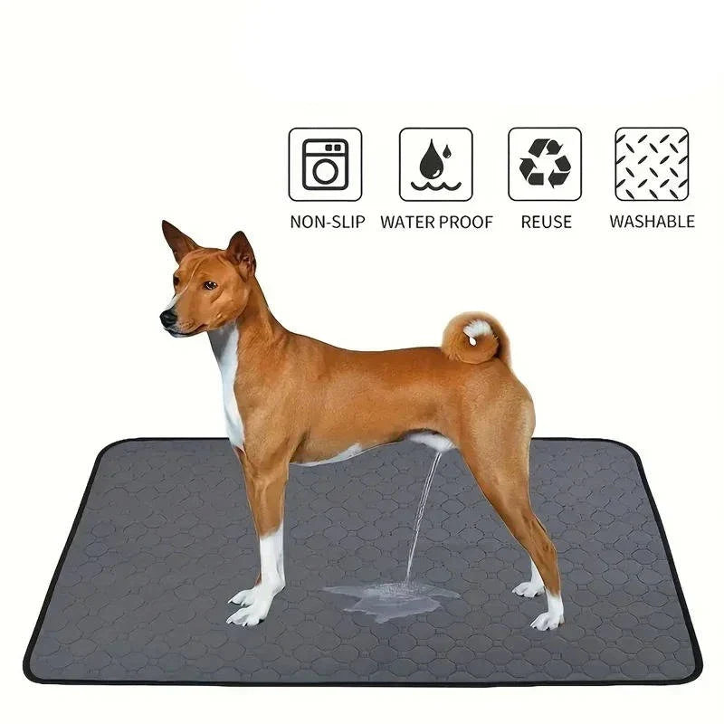 Dog Pee Pads Fast-Absorbing & Leak-Proof