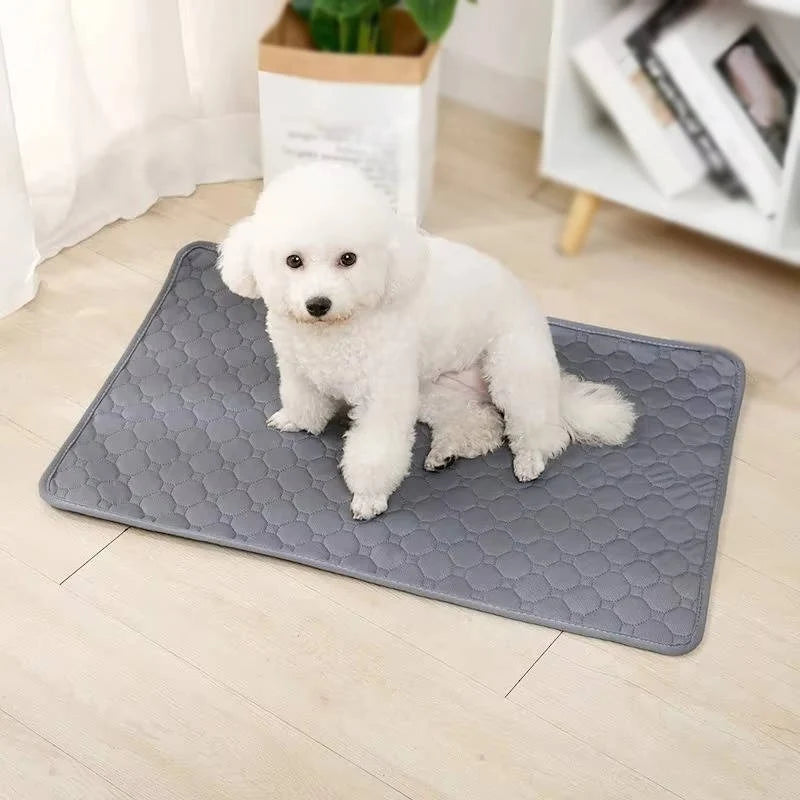 Dog Pee Pads Fast-Absorbing & Leak-Proof