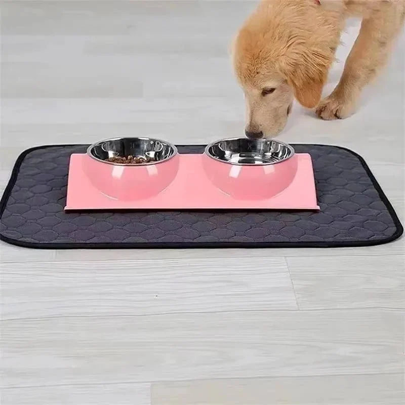 Dog Pee Pads Fast-Absorbing & Leak-Proof