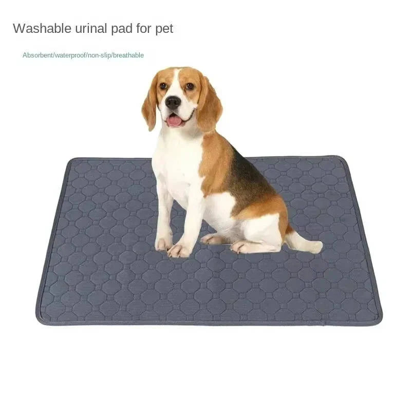 Dog Pee Pads Fast-Absorbing & Leak-Proof