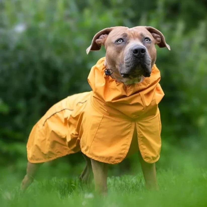 Dog Raincoat Waterproof & Windproof Reflective Strips