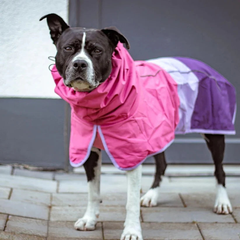 Dog Raincoat Waterproof & Windproof Reflective Strips
