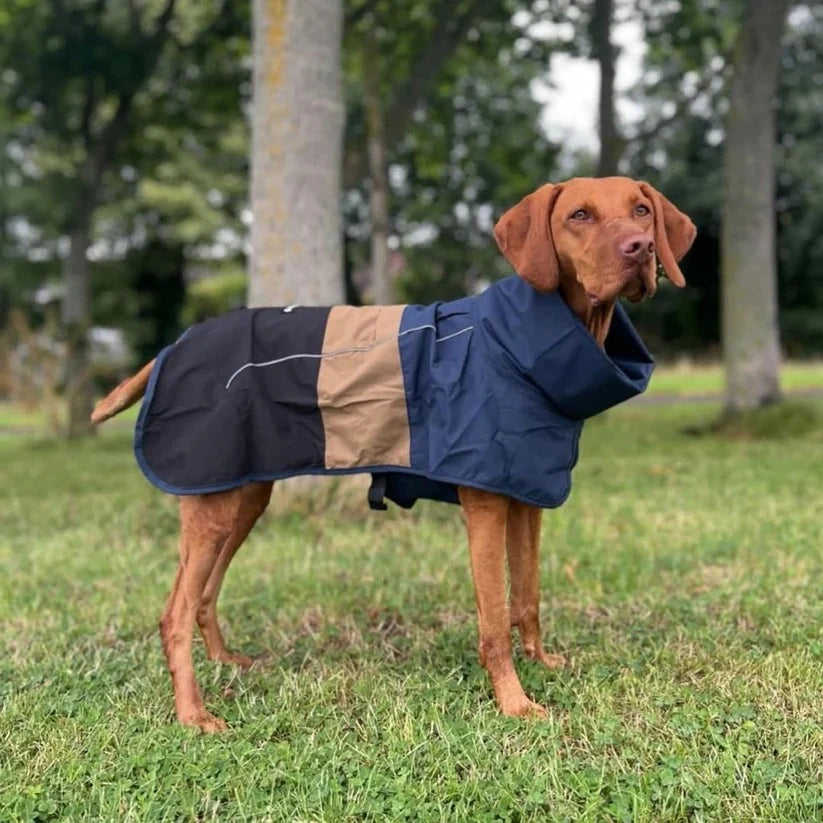 Dog Raincoat Waterproof & Windproof Reflective Strips