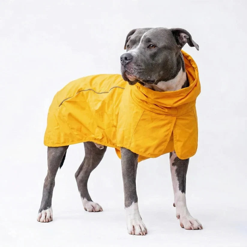 Dog Raincoat Waterproof & Windproof Reflective Strips