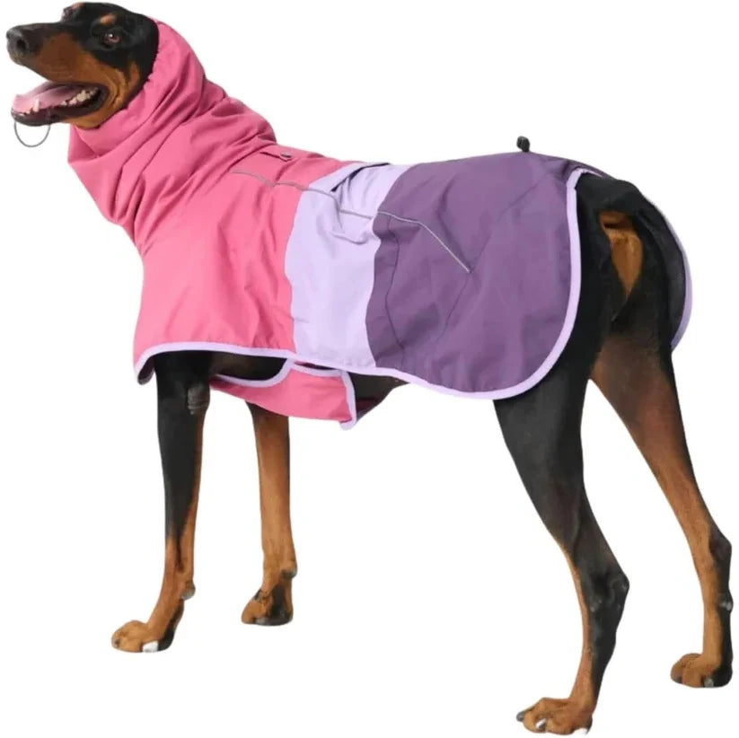 Dog Raincoat Waterproof & Windproof Reflective Strips