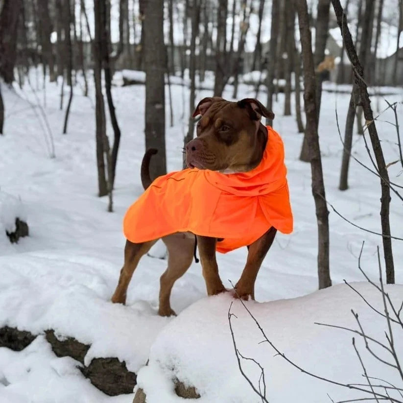 Dog Raincoat Waterproof & Windproof Reflective Strips