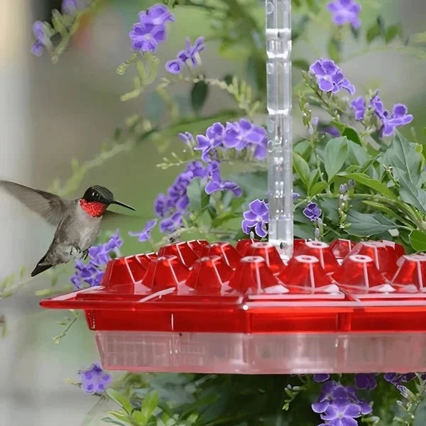 Hummingbird Feeder Built-In Ant Moat Leak-Resistant 24 Oz Glass