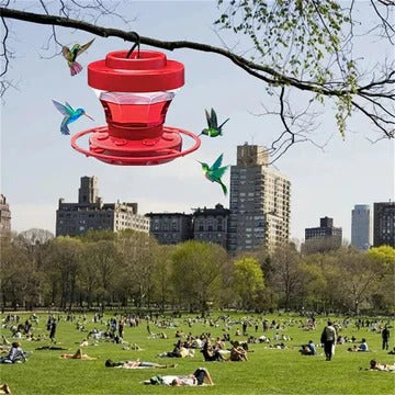 Hummingbird Feeder Leakproof Ant Moat & Perches 16oz Capacity