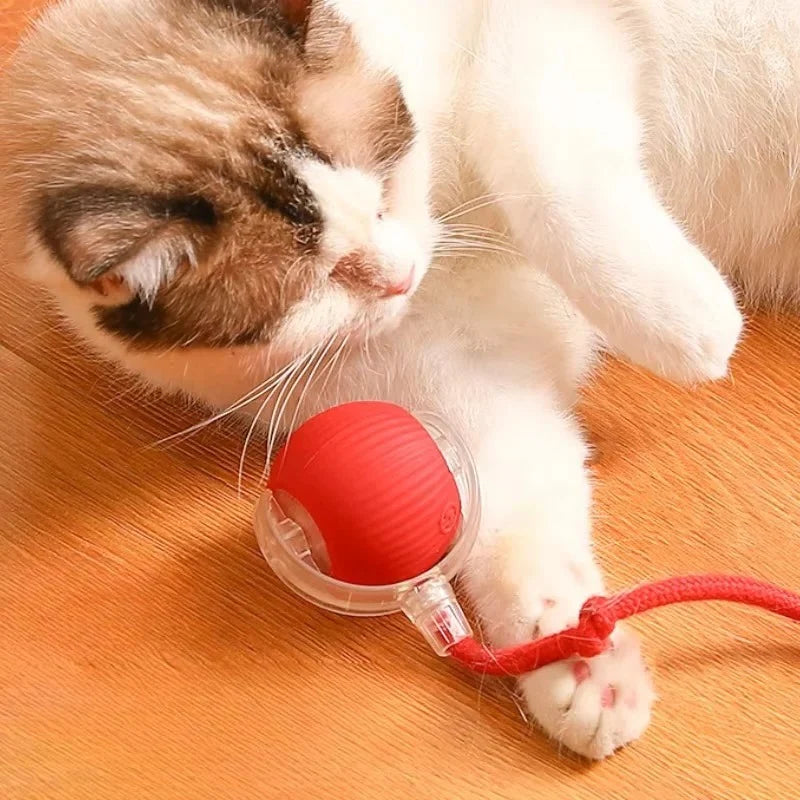 Interactive Cat Toy Automatic Rolling Faux Fur Tail
