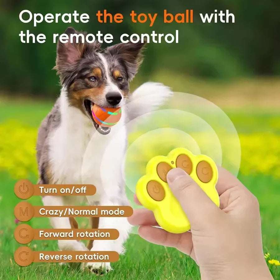 Interactive Dog Ball Motion-Activated LED Remote Control