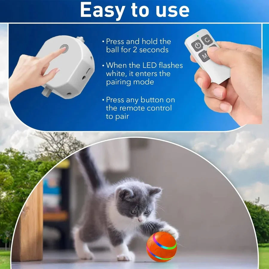 Interactive Dog Ball Motion-Activated LED Remote Control