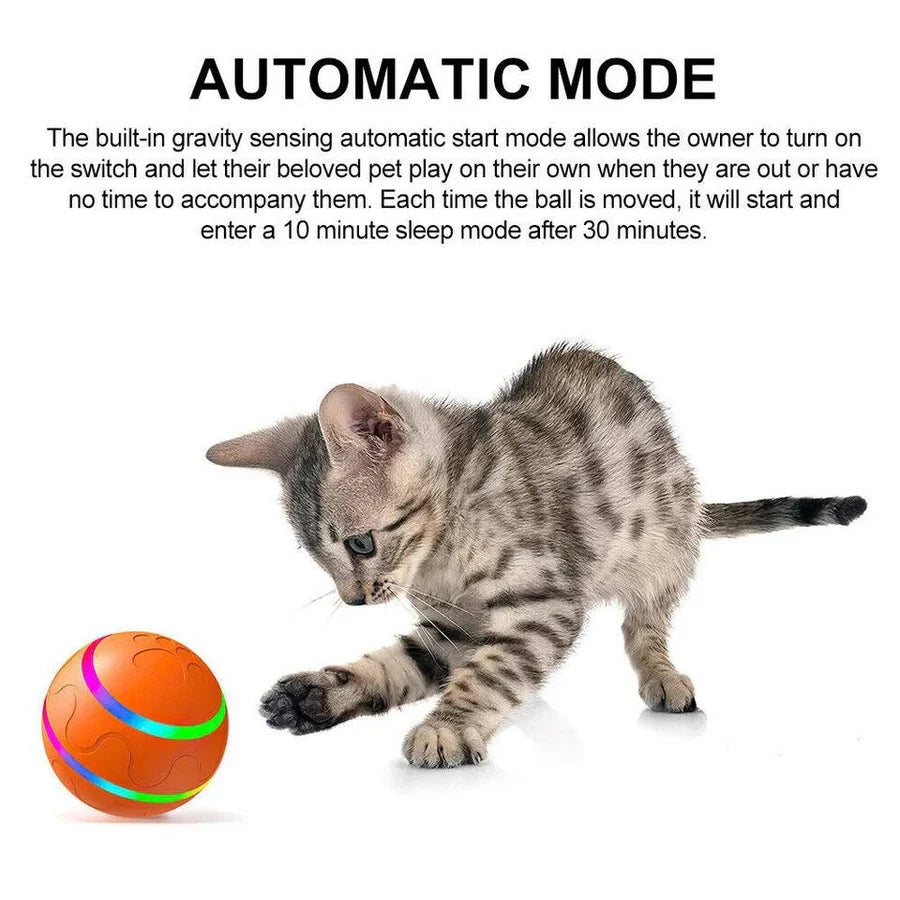 Interactive Dog Ball Motion-Activated LED Remote Control