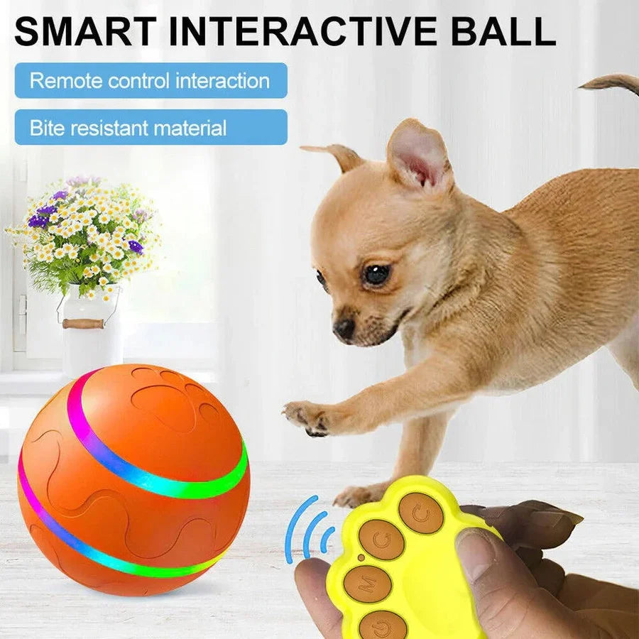 Interactive Dog Ball Motion-Activated LED Remote Control