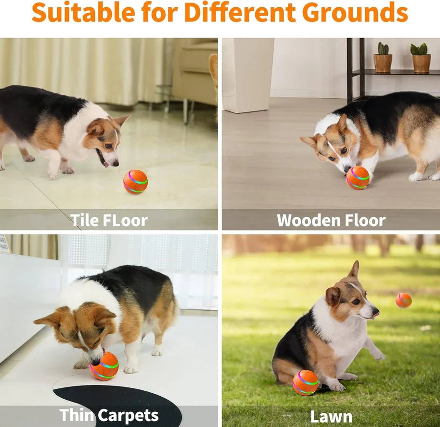 Interactive Dog Ball Motion-Activated LED Remote Control