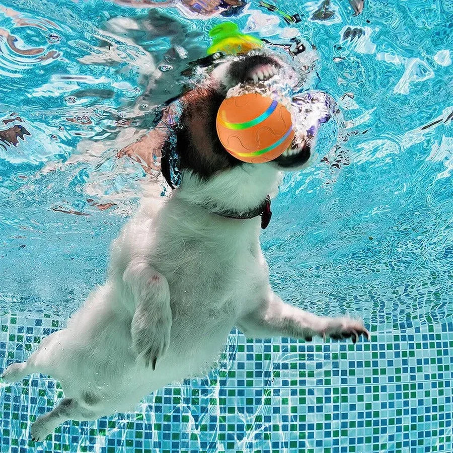 Interactive Dog Ball Motion-Activated LED Remote Control