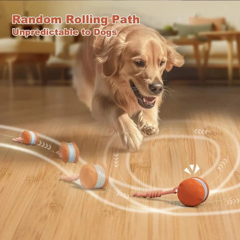 Interactive Dog Ball Touch-Activated Zigzag Motion