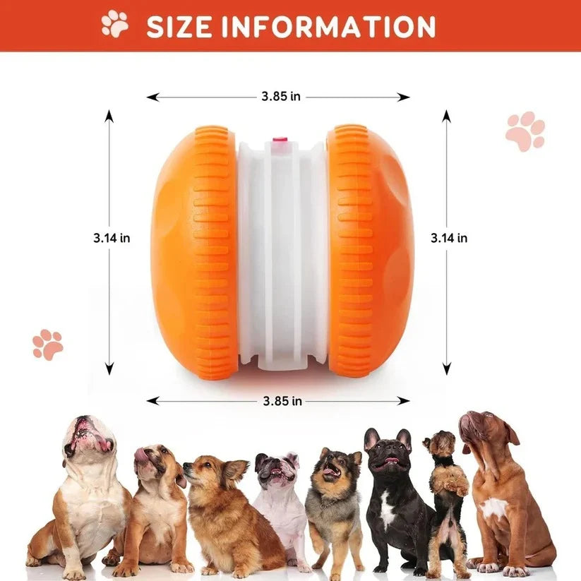 Interactive Dog Ball Touch-Activated Zigzag Motion