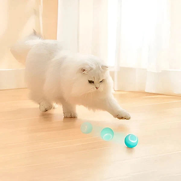 Interactive Pet Ball Self-Rolling USB Rechargeable Soft Surface