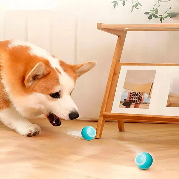 Interactive Pet Ball Self-Rolling USB Rechargeable Soft Surface