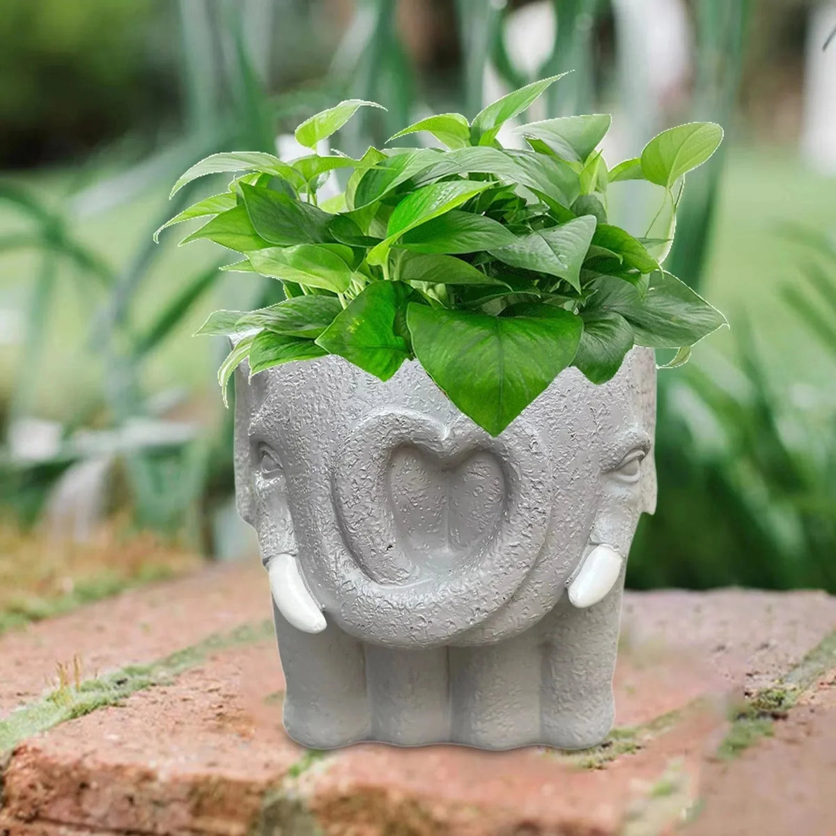 Mini Plant Pot Resin Cartoon Character