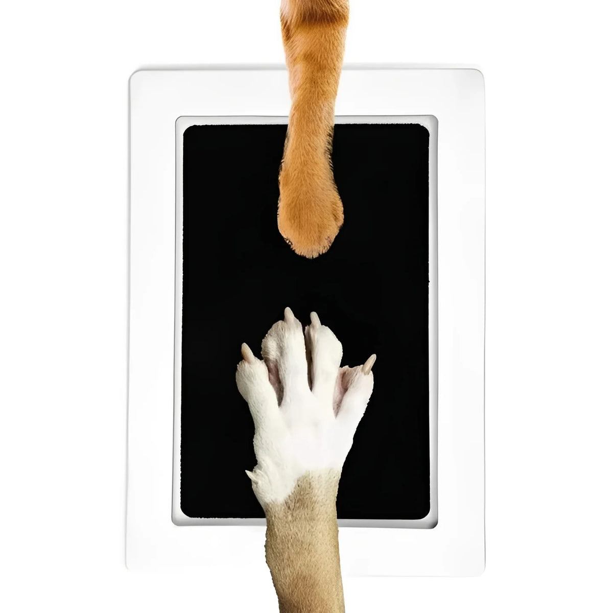 Paw Print Kit Inkless Clean-Touch Disposable Pads