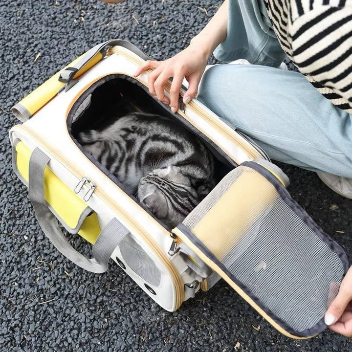 Pet Carrier Dual Entry Steel Frame