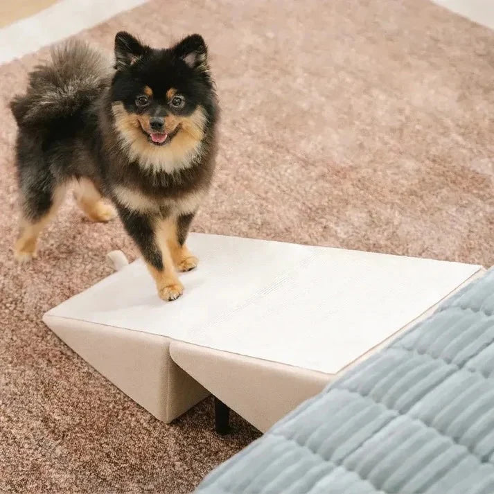 Pet Ramp & Step Stool Adjustable Anti-Slip Suction Base