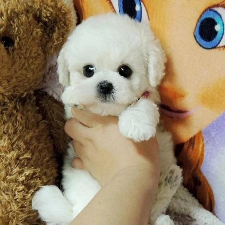 Plush Puppy Weighted & Posable Airbrushed Fur