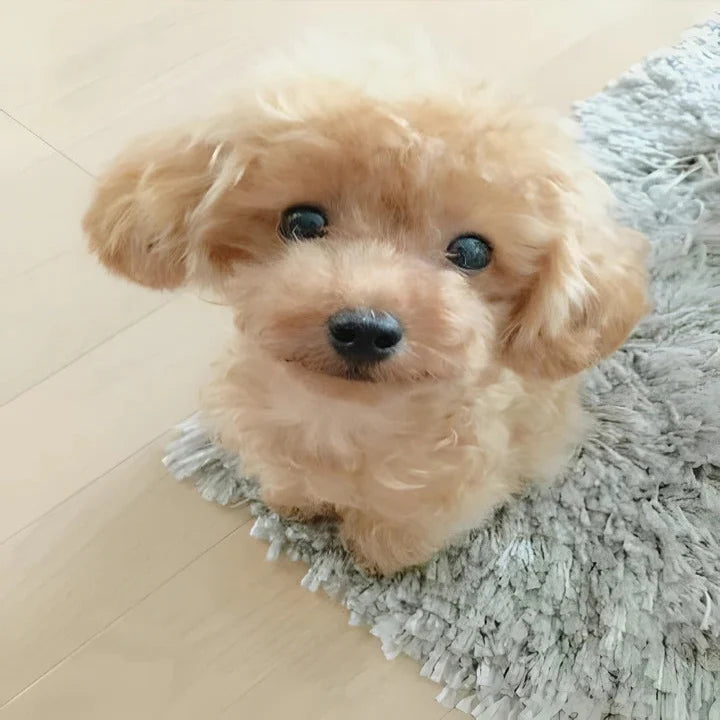 Plush Puppy Weighted & Posable Airbrushed Fur