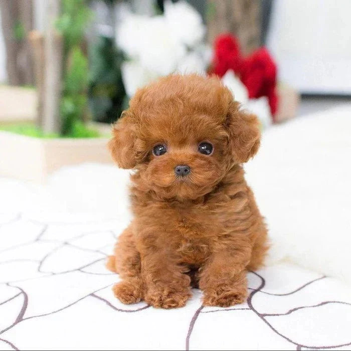 Plush Puppy Weighted & Posable Airbrushed Fur