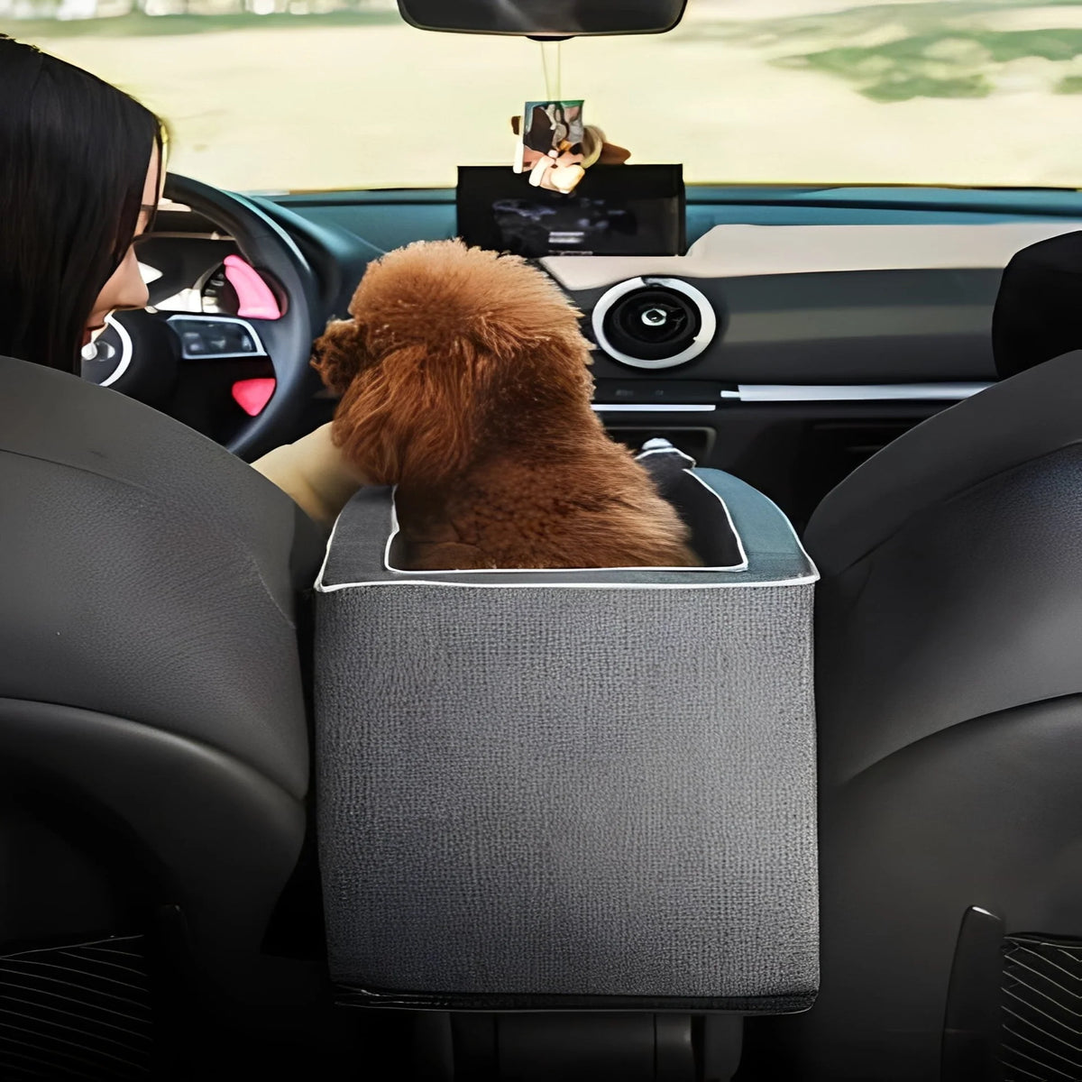 Small Pet Car Seat Armrest-Mount Padded Zippered Top
